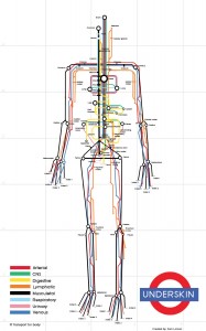 Human body as subway map